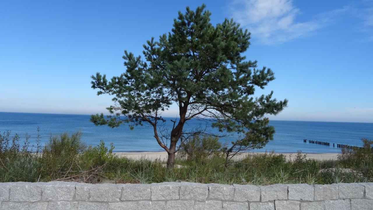 Pokoje Goscinne Muszelka 300 M Do Plazy Großmöllen Exterior foto